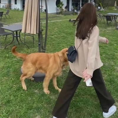 东云色的周末